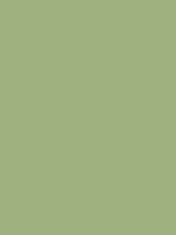 kleur After Eight Madam Mien