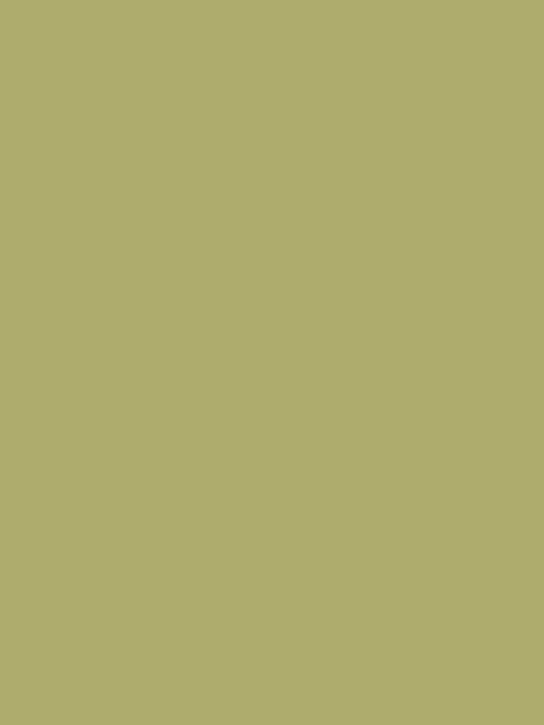Kleur Matcha Madam Mien